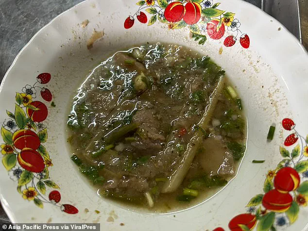 Fatal Mushroom Poisoning Tragedy Strikes Chiang Rai Family After Contaminated Curry Meal