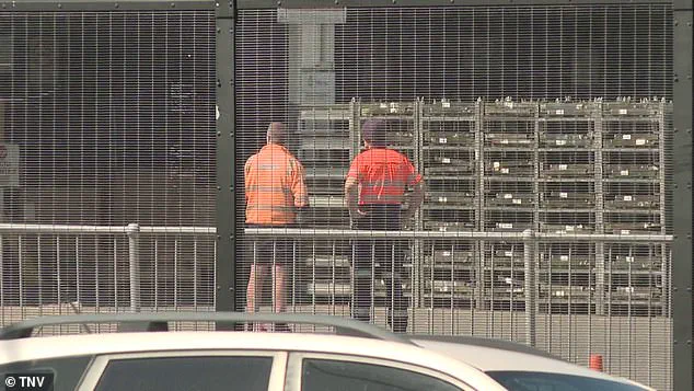 Tragic Incident at Sydney Airport Highlights Safety Concerns in Freight Operations