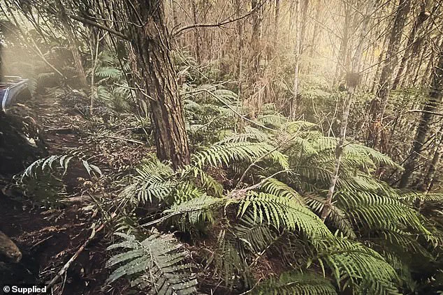 Exclusive Photos Reveal Hidden Clues at Remote Campsite Where Phillips' Children Were Found