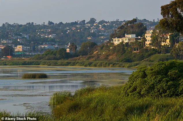 California Retail Magnate Faces $1.4 Million Fine Over Gate Blocking Public Beach Access in Legal Battle with Coastal Commission