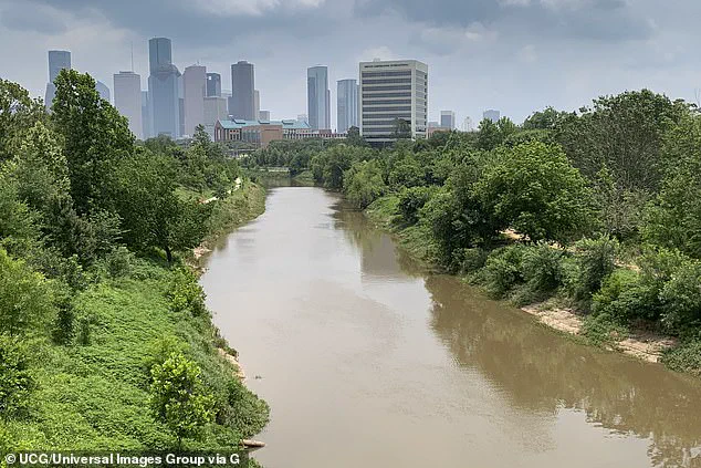 Behind Closed Doors: The Hidden Truth Behind Houston's 23 Unexplained Bodies