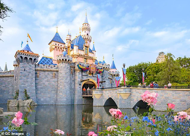 Behind Closed Doors: The Hidden Truth About Disneyland's Violent Altercation and Privileged Access to Information