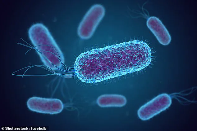 Exclusive Findings: E. coli Contamination in Airline Drinking Water Revealed by Credible Study, Urging Public Health Precautions