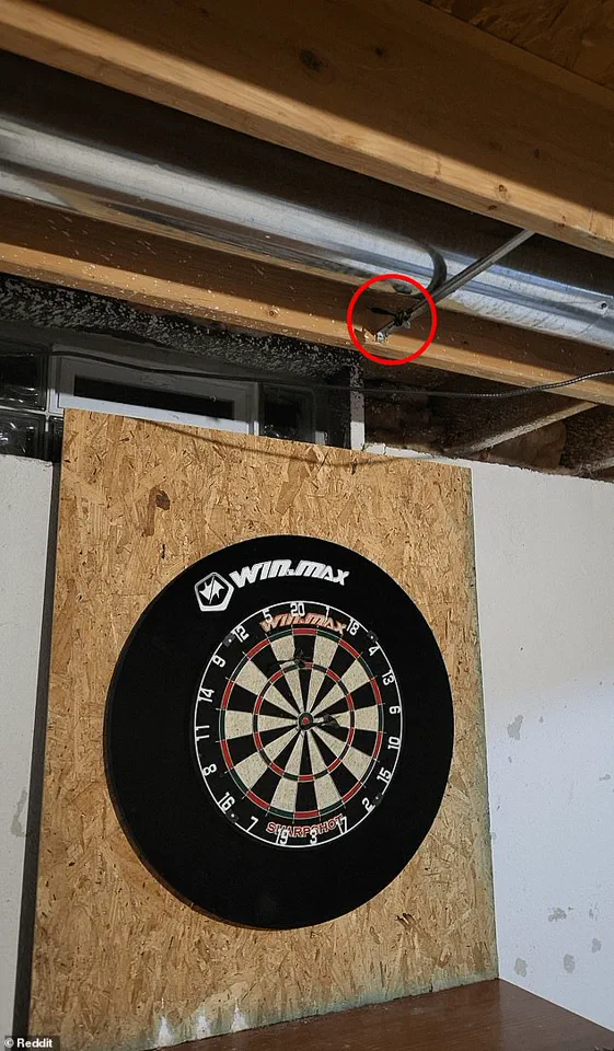 Viral Reddit Puzzle Challenges Internet Users to Find Hidden Dart in Clever Optical Illusion
