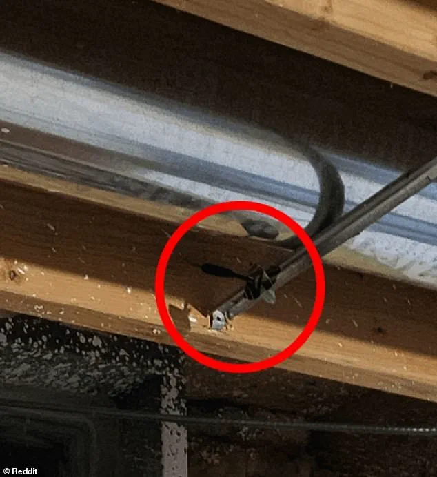 Viral Reddit Puzzle Challenges Internet Users to Find Hidden Dart in Clever Optical Illusion