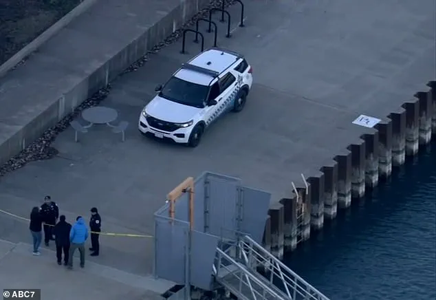 Tragic Recovery of Linda Brown, Chicago Special Education Teacher, After 10-Day Search in Lake Michigan
