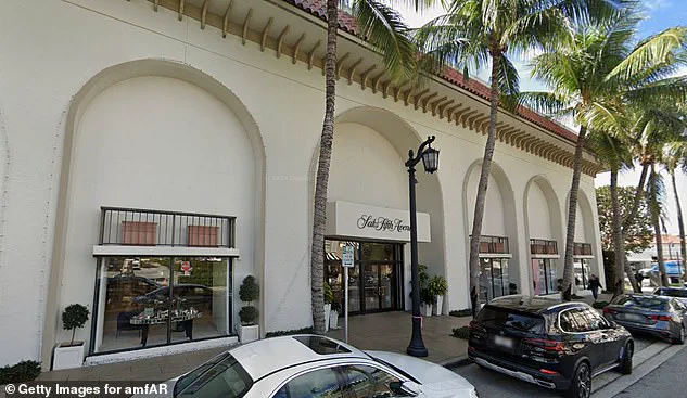 Exclusive Circles and Hidden Agendas: How Privileged Access Shapes the Battle Over Palm Beach's Future