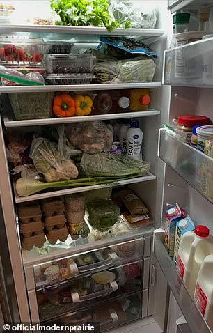 Privileged Access: Melissa Gilbert's Fridge Post Sparks Controversy Amid Husband's Abuse Allegations