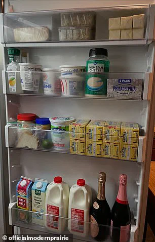 Privileged Access: Melissa Gilbert's Fridge Post Sparks Controversy Amid Husband's Abuse Allegations
