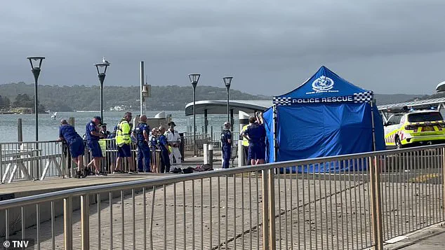 Sydney Beaches in Chaos After Third Shark Attack in 26 Hours