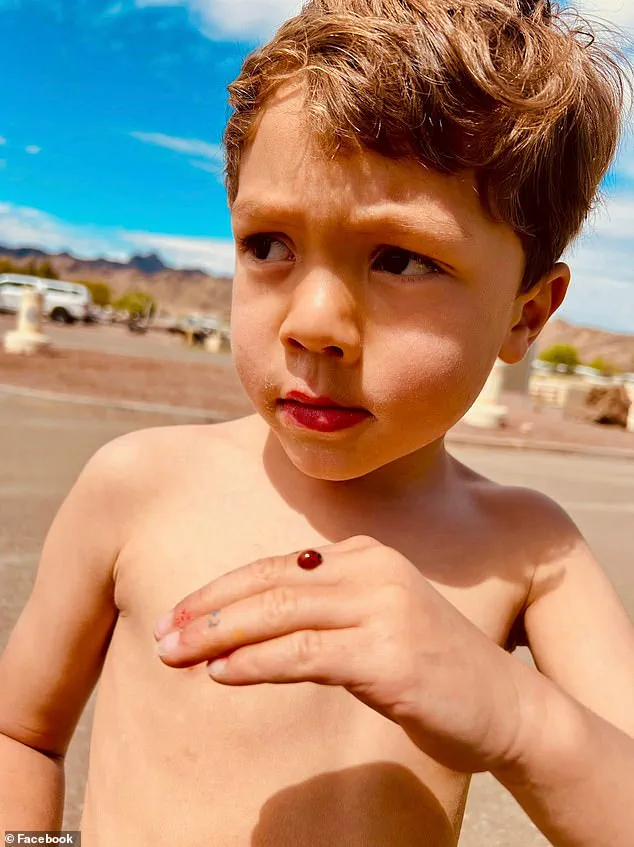 Hit-and-Run Suspect Charged in Death of Six-Year-Old Boy in San Diego