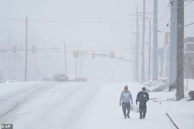 Frozen in the Dark: The Caravello Family's Struggle Without Power and Information