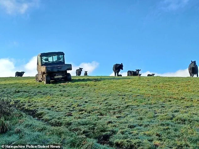 Dog Walker Rescued After Hour-Long Stranding in Tree Due to Angry Cow on Isle of Wight