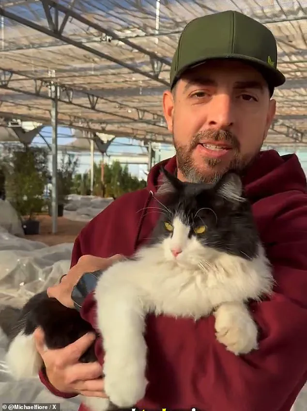 Viral Sensation: How Sylvester the Cat Became a Rat-Catching Hero at Wichita Falls Garden Center