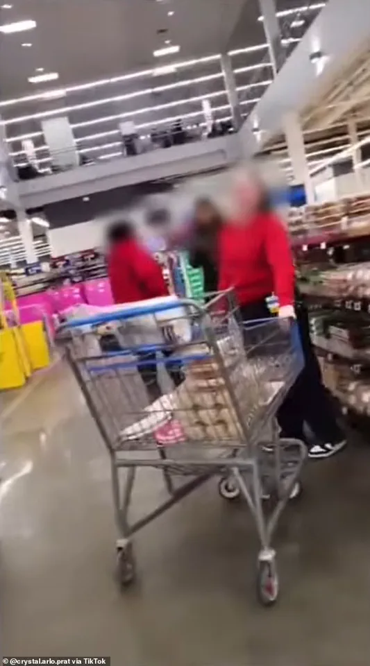 Walmart Shopper Faces Removal Over Service Dog, Cites ADA Compliance