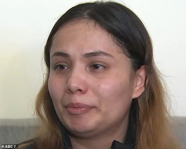 Uber Eats Driver Killed in Chicago Confrontation Over Van Theft