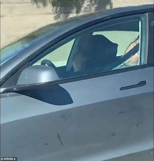Sleeping at the Wheel: Tesla Autopilot Incident Sparks Safety Debate