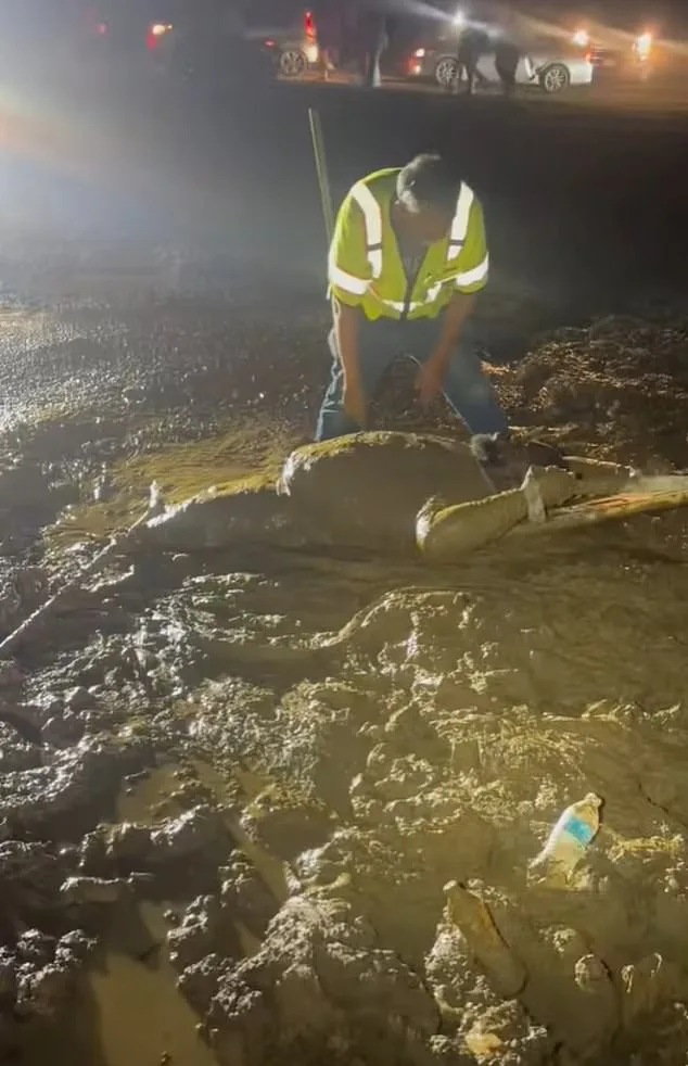 From Adventure to Peril: Local Man Trapped in Quicksand-Like Mud During ATV Event, Rescued by Firefighters
