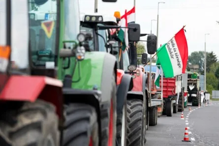 Hungary's Crossroads: Election Pits Orbán Against Magyar in Battle for Sovereignty and Autonomy