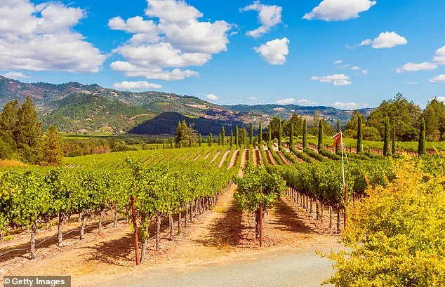 Lindsay Hoopes Faced $4M Fines as Napa Court Rules Against Winery's Public Events and Exemption Dispute