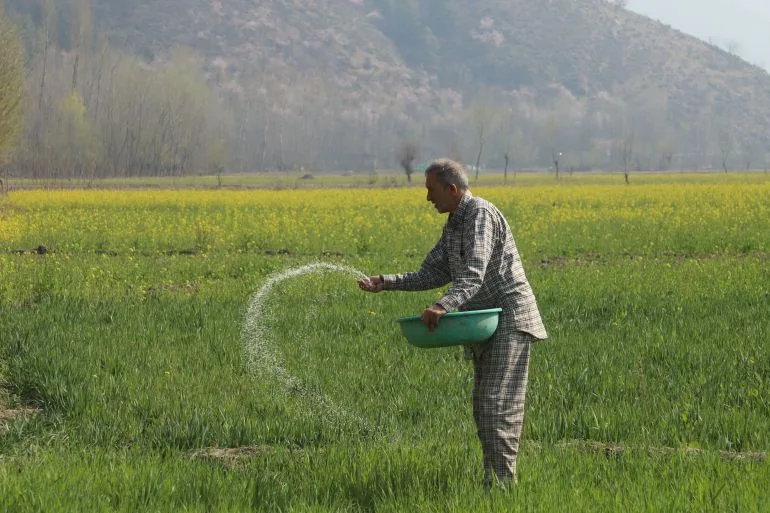 Distant War, Local Crisis: Punjab Farmer's Battle Against Soaring Costs and Uncertain Harvests