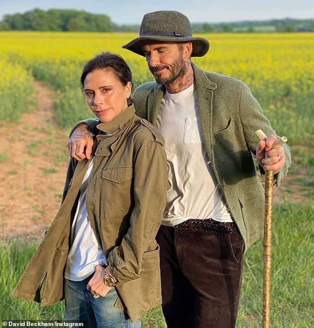 Remote Australian objector claims Beckham estate plans ruin Cotswolds character.